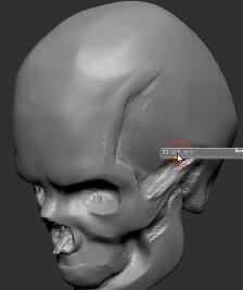 頭像結(jié)構(gòu)：劉老師解析人頭像到頭骨的逆向思維（下）