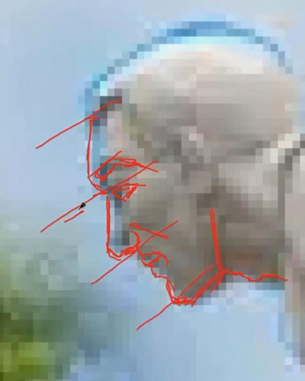 人像結(jié)構(gòu)分析及模糊頭像描線(F230424199)